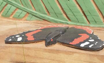 FOTO: Košické lesy zdobia nové vyrezávané lavičky z dreva