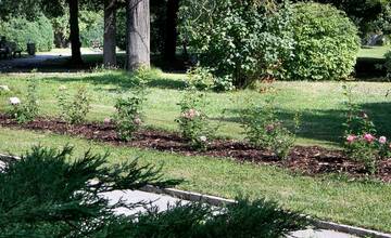 FOTO: Historický park v košickej nemocnici skrásnel 