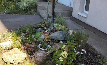 FOTO: Košičania zveľadili svoje sídliská. Zafarbili ich kvetmi aj šťavnatou úrodou