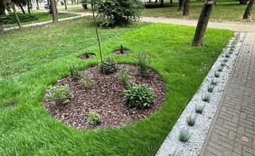 FOTO: Košičania zveľadili svoje sídliská. Zafarbili ich kvetmi aj šťavnatou úrodou