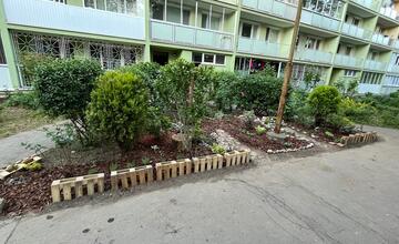 FOTO: Košičania zveľadili svoje sídliská. Zafarbili ich kvetmi aj šťavnatou úrodou