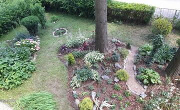 FOTO: Košičania zveľadili svoje sídliská. Zafarbili ich kvetmi aj šťavnatou úrodou