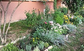 FOTO: Košičania zveľadili svoje sídliská. Zafarbili ich kvetmi aj šťavnatou úrodou