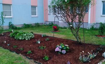 FOTO: Košičania zveľadili svoje sídliská. Zafarbili ich kvetmi aj šťavnatou úrodou