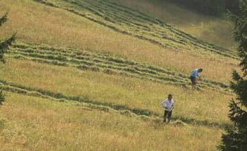 FOTO: Už šiesty rok dobrovoľníci kosili Kopanecké lúky