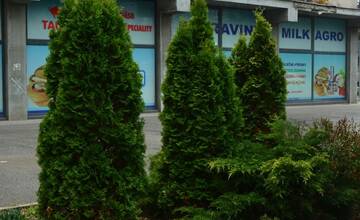 FOTO: Seniori zo Šaci zveľadili námestie