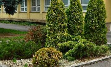 FOTO: Seniori zo Šaci zveľadili námestie