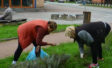 FOTO: Seniori zo Šaci zveľadili námestie