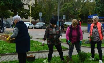 FOTO: Seniori zo Šaci zveľadili námestie