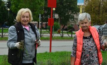 FOTO: Seniori zo Šaci zveľadili námestie