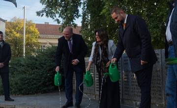 FOTO: Košice sa na jar premenia na Holandsko
