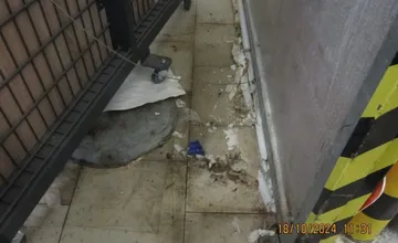 FOTO: Inšpektori kontrolovali predajne potravín. Našli v nich pleseň, špinu aj larvy v treske