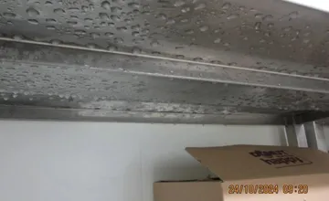 FOTO: Inšpektori kontrolovali predajne potravín. Našli v nich pleseň, špinu aj larvy v treske