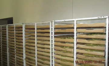 FOTO: Inšpektori kontrolovali predajne potravín. Našli v nich pleseň, špinu aj larvy v treske