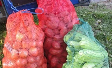 FOTO: Inšpektori kontrolovali predajne potravín. Našli v nich pleseň, špinu aj larvy v treske