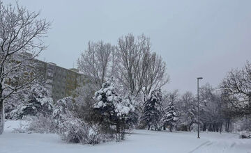 Košičanov na nový rok prekvapila poriadna snehová nádielka