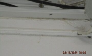 FOTO: Kontroly potravín odhalili stovky nedostatkov. V predajniach boli výrobky po záruke, škodcovia či skryté alergény