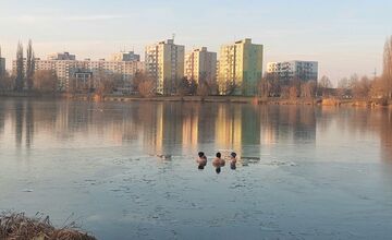 FOTO: Takto vyzerali zimné februárové dni na Jazere, počasie prialo otužilcom aj fanúšikom jari