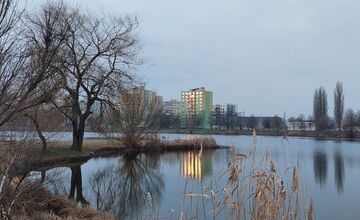 FOTO: Takto vyzerali zimné februárové dni na Jazere, počasie prialo otužilcom aj fanúšikom jari