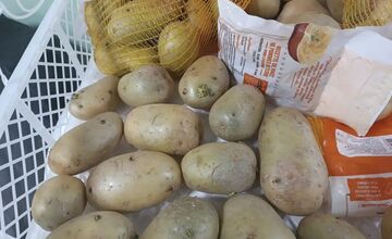 FOTO: Inšpektori kontrolovali predajne potravín. Našli v nich pleseň, špinu aj papriku plnú pesticídov