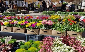 FOTO: Dominikánske námestie ožilo farbami, predajcovia vás vybavia na Veľkú noc