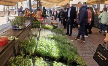 FOTO: Dominikánske námestie ožilo farbami, predajcovia vás vybavia na Veľkú noc
