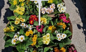 FOTO: Dominikánske námestie ožilo farbami, predajcovia vás vybavia na Veľkú noc