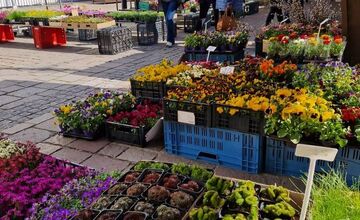 FOTO: Dominikánske námestie ožilo farbami, predajcovia vás vybavia na Veľkú noc