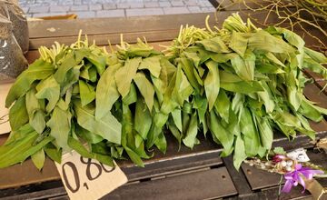 FOTO: Dominikánske námestie ožilo farbami, predajcovia vás vybavia na Veľkú noc