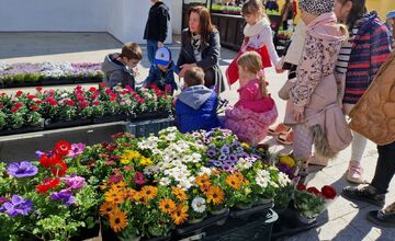 FOTO: Dominikánske námestie ožilo farbami, predajcovia vás vybavia na Veľkú noc