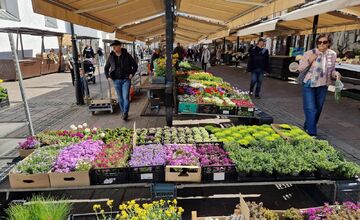 FOTO: Dominikánske námestie ožilo farbami, predajcovia vás vybavia na Veľkú noc