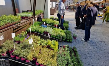 FOTO: Dominikánske námestie ožilo farbami, predajcovia vás vybavia na Veľkú noc