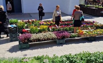 FOTO: Dominikánske námestie ožilo farbami, predajcovia vás vybavia na Veľkú noc