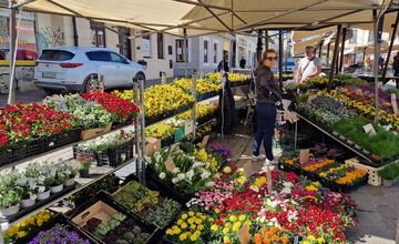 FOTO: Dominikánske námestie ožilo farbami, predajcovia vás vybavia na Veľkú noc