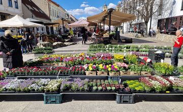 FOTO: Dominikánske námestie ožilo farbami, predajcovia vás vybavia na Veľkú noc