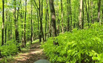 FOTO: Ťahanovčanovi Matúšovi sa stal beh osudným, pátrali po ňom celé hodiny
