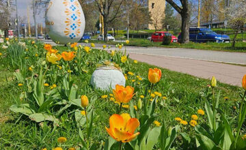 Starosta košického sídliska KVP opäť vynaložil úsilie a vysadil krásne kvetiny po celom sídlisku