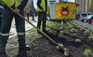 FOTO: Zo zastávky na sídlisku Ťahanovce niekto ukradol levandule