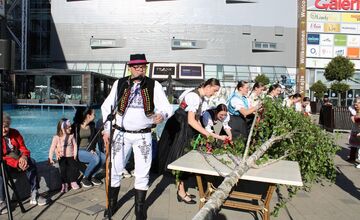 FOTO: Na Terase už stojí prvý zelený máj, vysokú brezu zoťal sám starosta