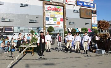FOTO: Na Terase už stojí prvý zelený máj, vysokú brezu zoťal sám starosta