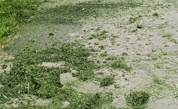 Takto dopadlo kosenie na sídlisku Nad jazerom