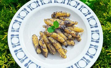 FOTO: Martin Novák navštívil Reštauráciu u Katky