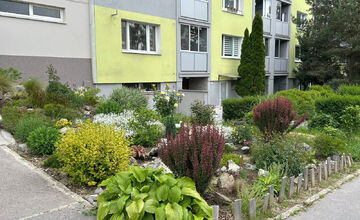 Predzáhradky na Cottbuskej sú skutočne nádherné