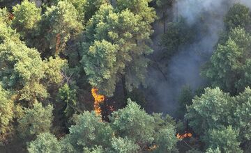 FOTO: V Richnave začal horieť les, na miesto smerovali desiatky hasičov
