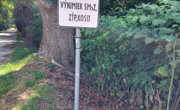 FOTO: Auto DM si to namierilo cez park Anička