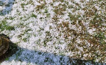 FOTO: Sobrancami sa prehnala búrka