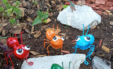 Táto nádherná skalka robila radosť mnohým Ťahanovčanom