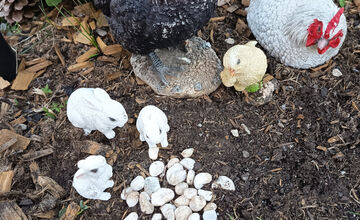 Táto nádherná skalka robila radosť mnohým Ťahanovčanom