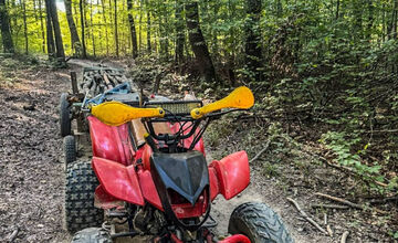 V lese pri Košiciach chceli dvaja muži ukradnúť hraby, polícia ich prichytila pri čine