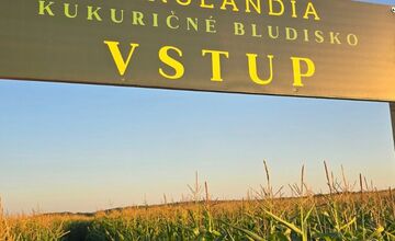 FOTO: Pri Michalovciach vyrástlo kukuričné bludisko